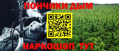mdpv Краснознаменск